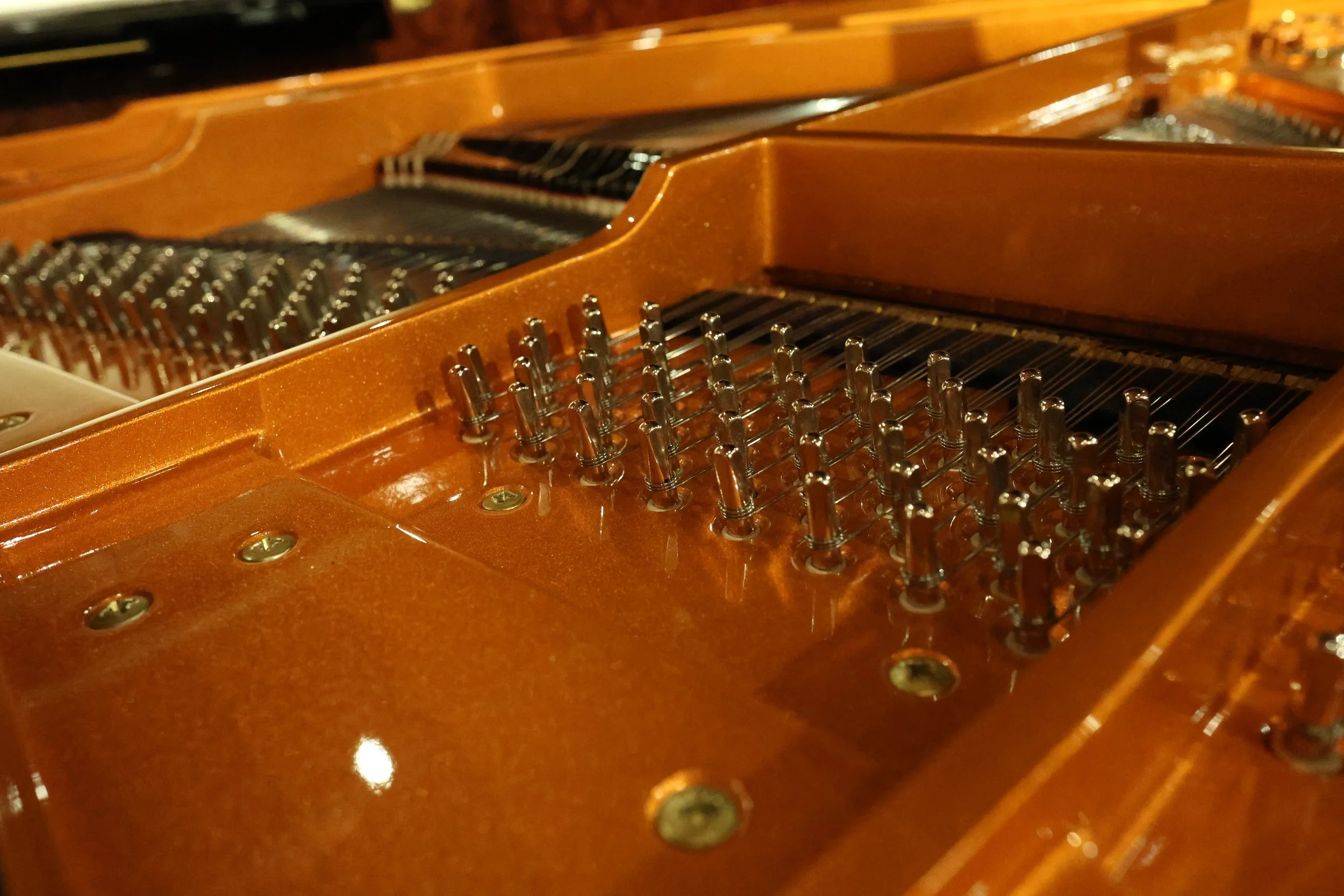 Tuning pins and strings inside a grand piano