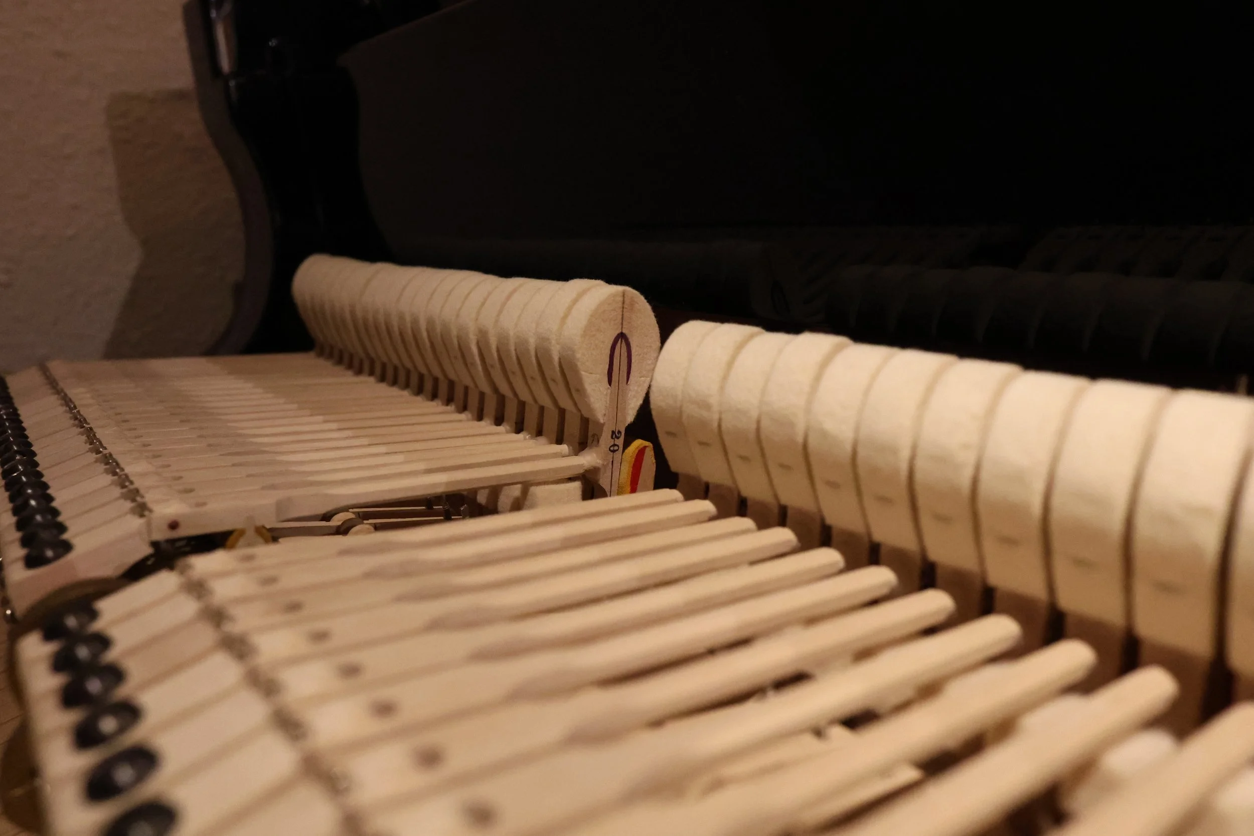 Exposed piano action, keys, and hammers ready for regulation