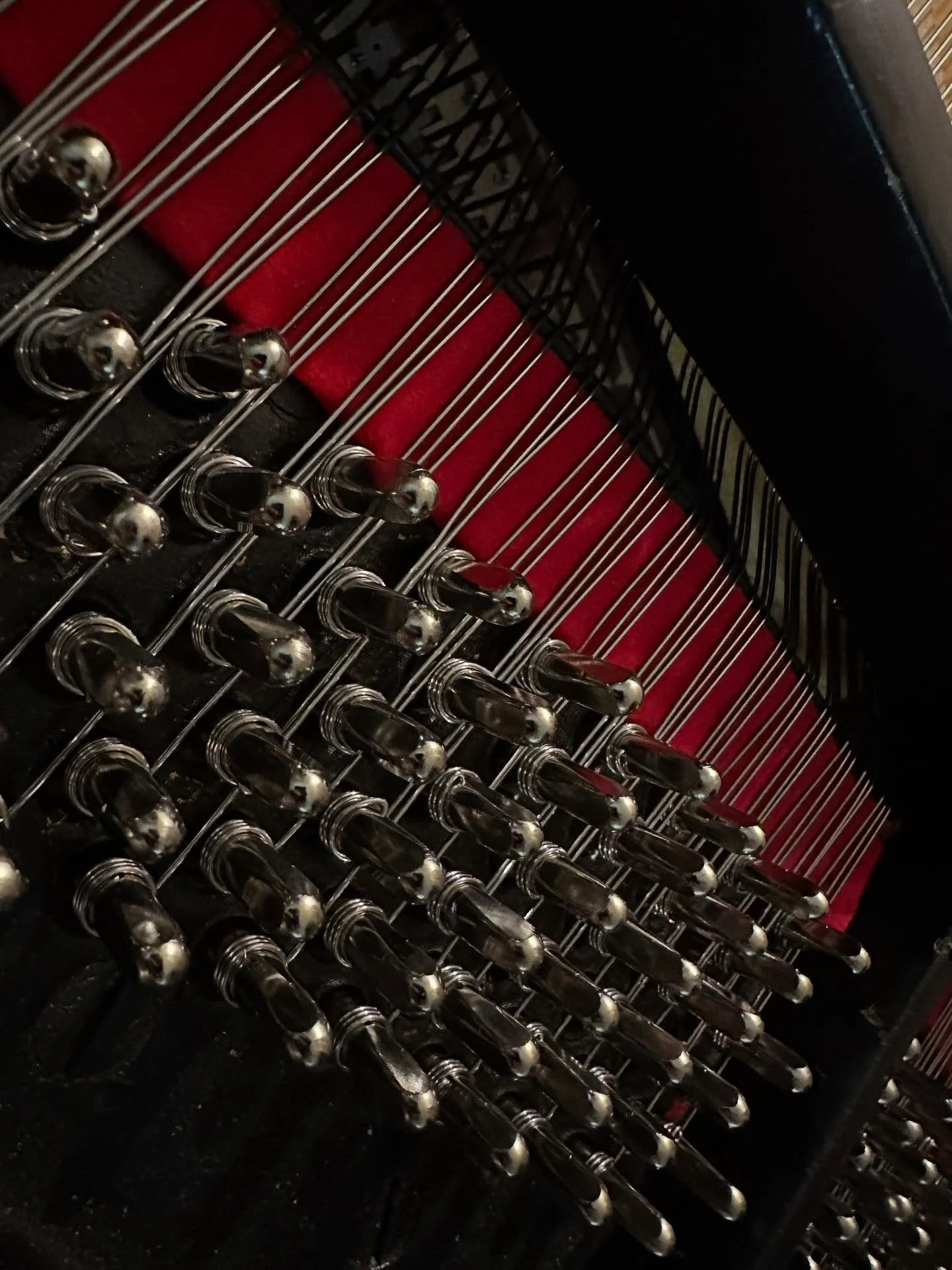 Close view of piano tuning pins, strings, and red felt in Kyle's workshop